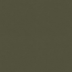 Raya Loden 471411 By P/K Lifestyles Fabric