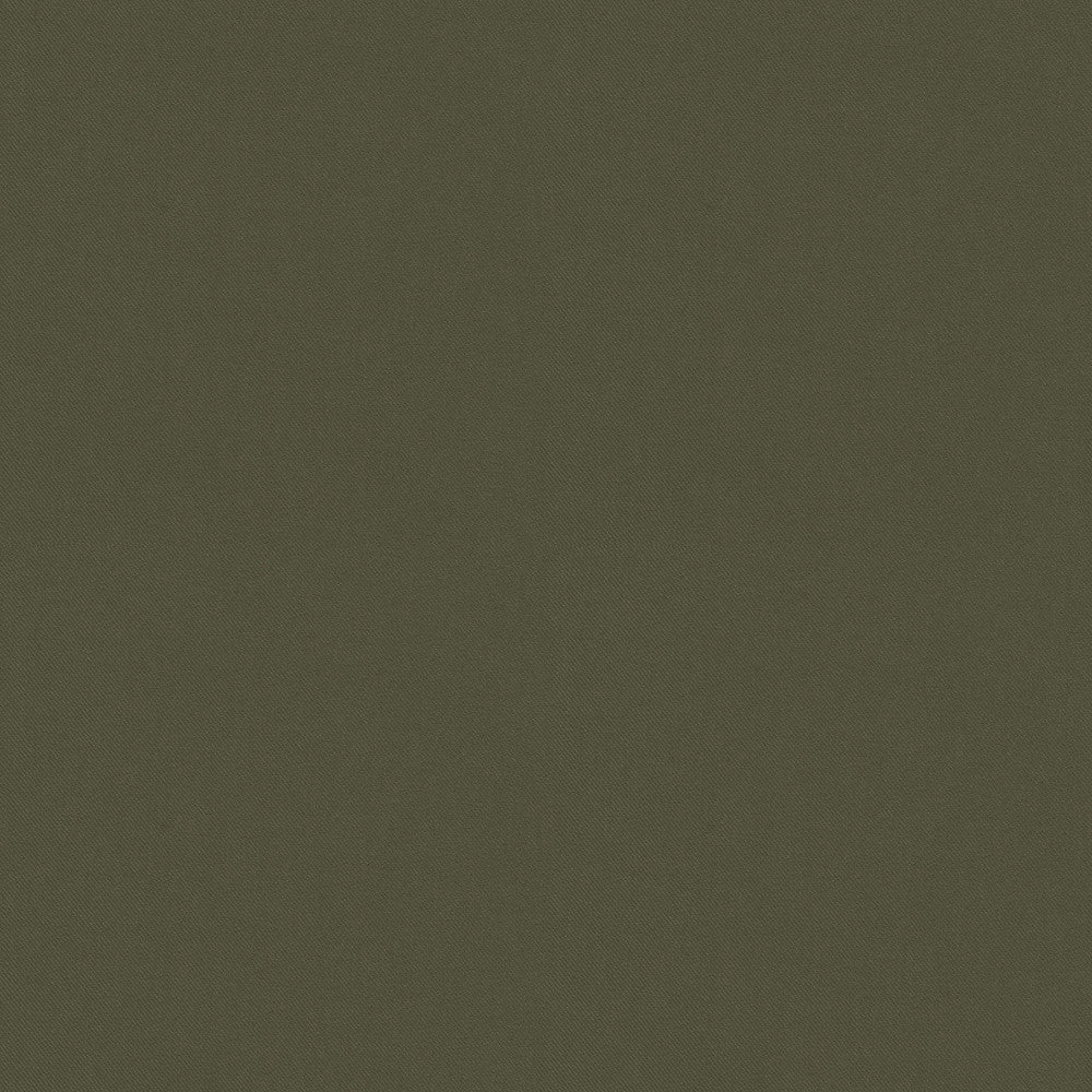 Raya Loden 471411 by P/K LIFESTYLES Designer Fabric - 100% recycled polyester India 51000 Horizontal: 0 and Vertical: 0 56  - Swanky Fabrics -