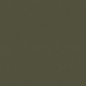 Raya Loden 471411 By P/K Lifestyles Fabric