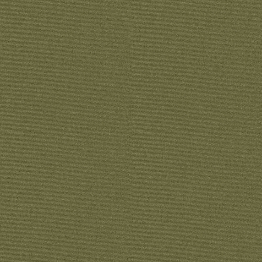 Raya Sage 471412 by P/K LIFESTYLES Designer Fabric - 100% recycled polyester India 51000 Horizontal: 0 and Vertical: 0 56  - Swanky Fabrics -