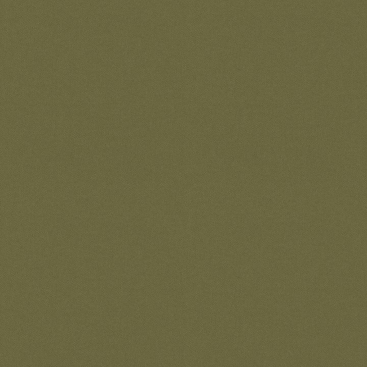 Raya Sage 471412 by P/K LIFESTYLES Designer Fabric - 100% recycled polyester India 51000 Horizontal: 0 and Vertical: 0 56  - Swanky Fabrics -