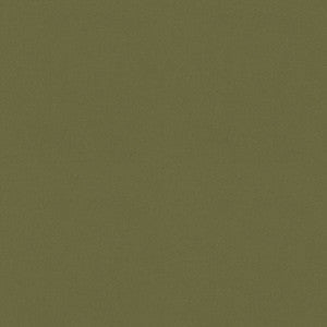 Raya Sage 471412 By P/K Lifestyles Fabric