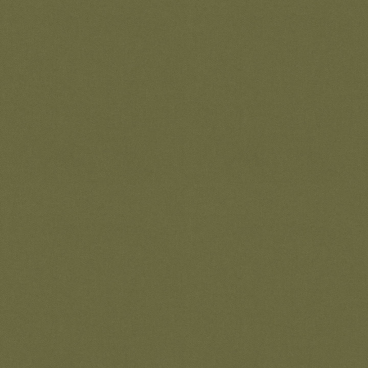 Raya Sage 471412 by P/K LIFESTYLES Fabric - 100% recycled polyester India 51000 Horizontal: 0 and Vertical: 0 56 - Fabric Carolina -