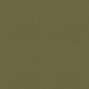 Raya Sage 471412 By P/K Lifestyles Fabric