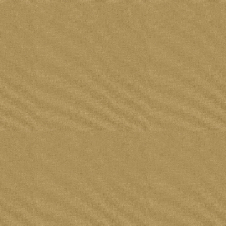 Raya Wheat 471413 by P/K LIFESTYLES Fabric - 100% recycled polyester India 51000 Horizontal: 0 and Vertical: 0 56 - Fabric Carolina -