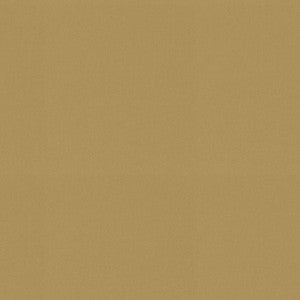 Raya Wheat 471413 By P/K Lifestyles Fabric