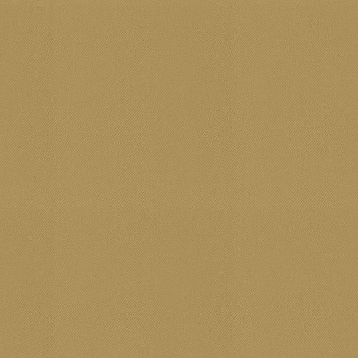 Raya Wheat 471413 by P/K LIFESTYLES Designer Fabric - 100% recycled polyester India 51000 Horizontal: 0 and Vertical: 0 56  - Swanky Fabrics -