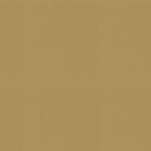 Raya Wheat 471413 By P/K Lifestyles Fabric