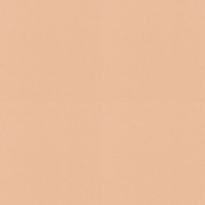 Raya Ballet 471415 by P/K LIFESTYLES Fabric - 100% recycled polyester India 51000 Horizontal: 0 and Vertical: 0 56 - Fabric Carolina -