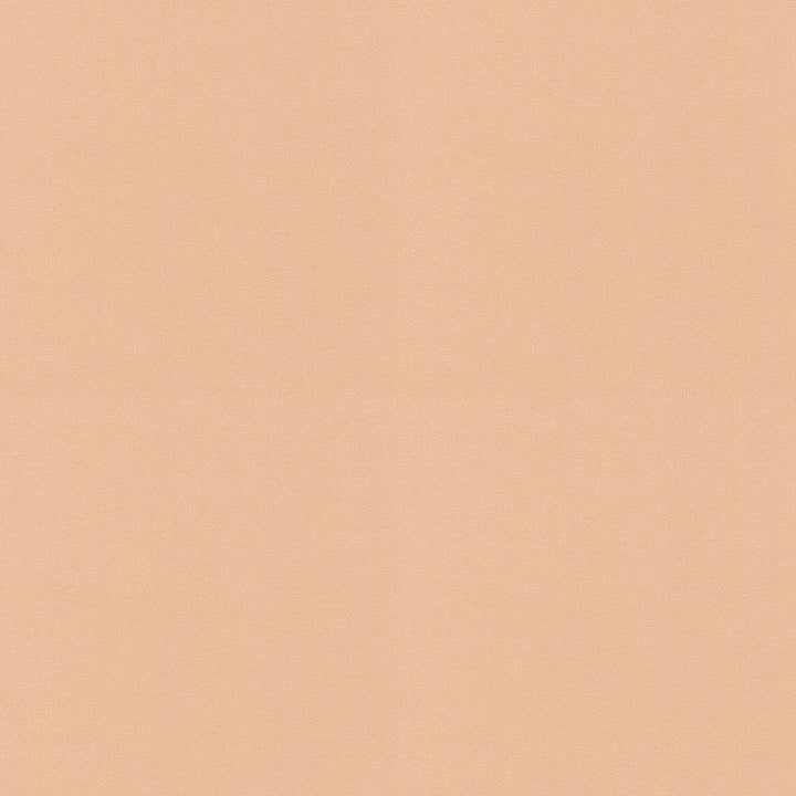Raya Ballet 471415 by P/K LIFESTYLES Designer Fabric - 100% recycled polyester India 51000 Horizontal: 0 and Vertical: 0 56  - Swanky Fabrics -
