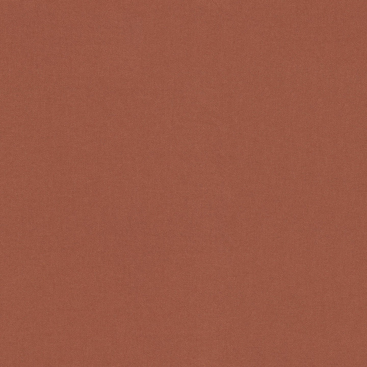 Raya Canyon 471416 by P/K LIFESTYLES Designer Fabric - 100% recycled polyester India 51000 Horizontal: 0 and Vertical: 0 56  - Swanky Fabrics -