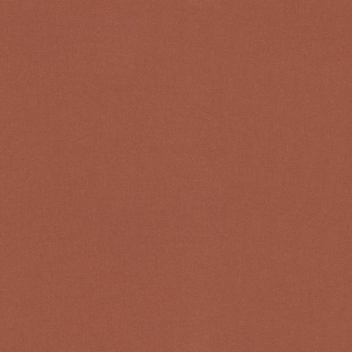 Raya Canyon 471416 by P/K LIFESTYLES Fabric - 100% recycled polyester India 51000 Horizontal: 0 and Vertical: 0 56 - Fabric Carolina -