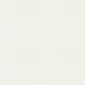 Raya White 471420 By P/K Lifestyles Fabric