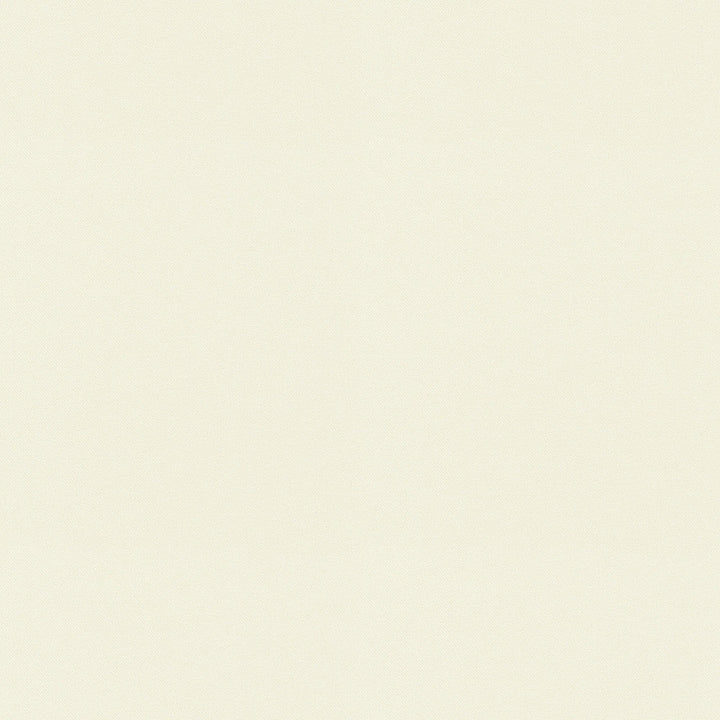 Raya Eggshell 471421 by P/K LIFESTYLES Designer Fabric - 100% recycled polyester India 51000 Horizontal: 0 and Vertical: 0 56  - Swanky Fabrics -