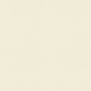 Raya Natural 471422 By P/K Lifestyles Fabric