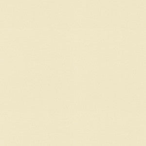 Raya Cream 471423 By P/K Lifestyles Fabric