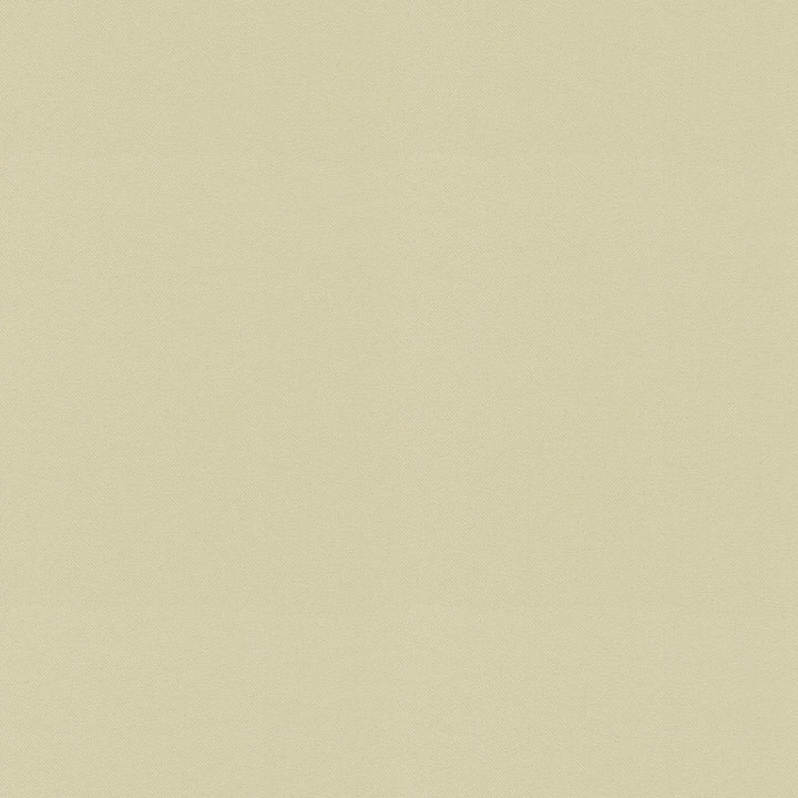 Raya Beige 471424 by P/K LIFESTYLES Fabric - 100% recycled polyester India 51000 Horizontal: 0 and Vertical: 0 56 - Fabric Carolina -