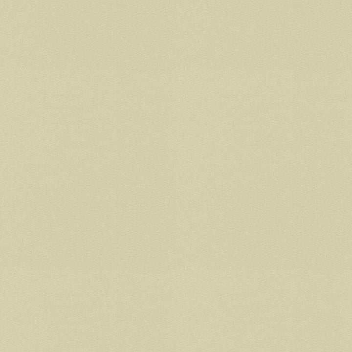 Raya Beige 471424 by P/K LIFESTYLES Designer Fabric - 100% recycled polyester India 51000 Horizontal: 0 and Vertical: 0 56  - Swanky Fabrics -