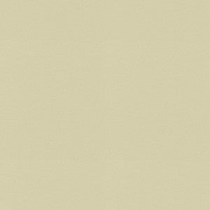 Raya Beige 471424 By P/K Lifestyles Fabric
