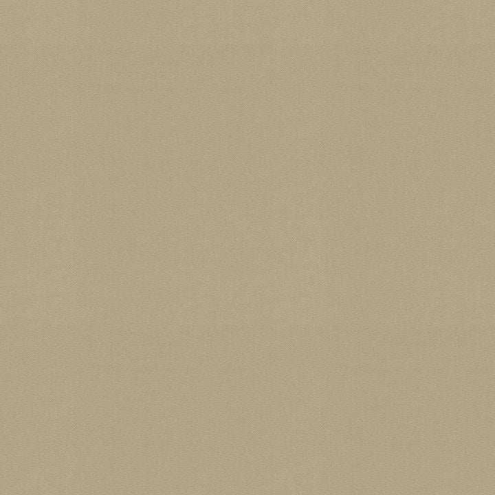 Raya Driftwood 471425 by P/K LIFESTYLES Fabric - 100% recycled polyester India 51000 Horizontal: 0 and Vertical: 0 56 - Fabric Carolina -
