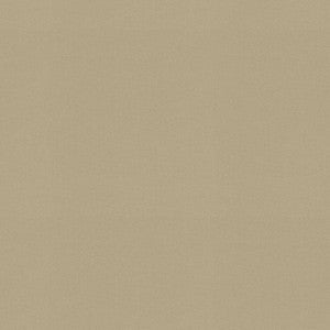 Raya Driftwood 471425 By P/K Lifestyles Fabric