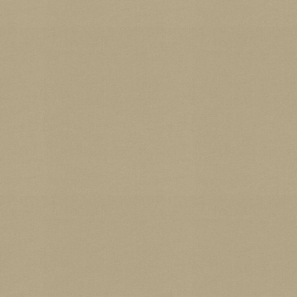 Raya Driftwood 471425 by P/K LIFESTYLES Designer Fabric - 100% recycled polyester India 51000 Horizontal: 0 and Vertical: 0 56  - Swanky Fabrics -
