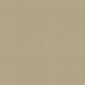 Raya Driftwood 471425 By P/K Lifestyles Fabric