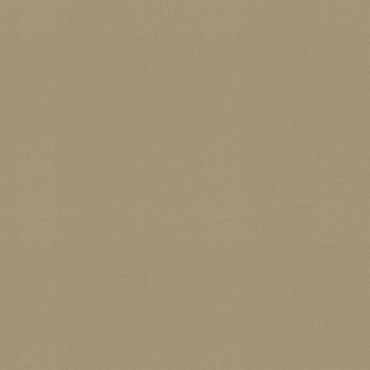 Raya Linen 471426 by P/K LIFESTYLES Fabric - 100% recycled polyester India 51000 Horizontal: 0 and Vertical: 0 56 - Fabric Carolina -