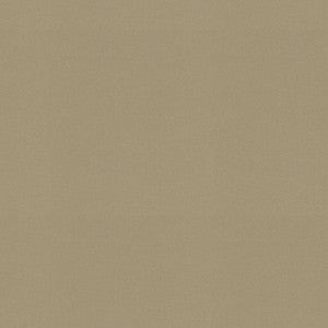 Raya Linen 471426 By P/K Lifestyles Fabric