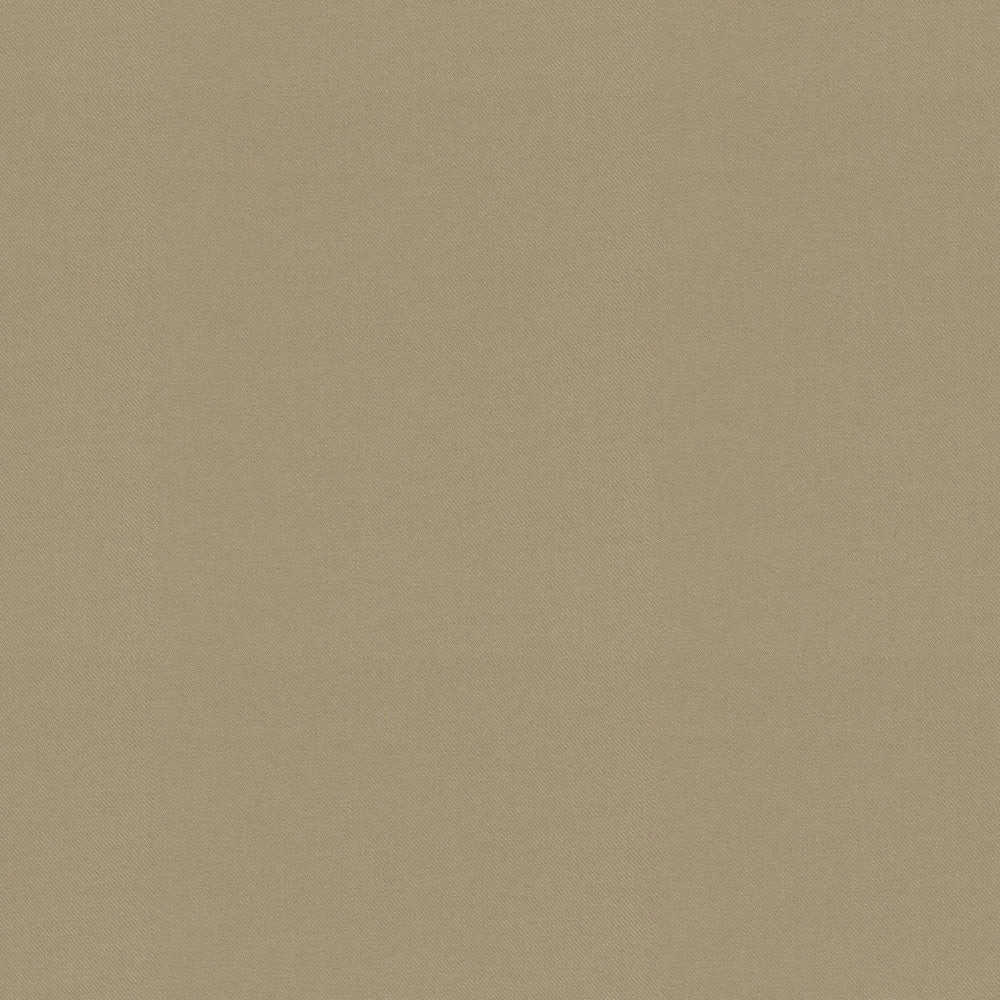 Raya Linen 471426 by P/K LIFESTYLES Designer Fabric - 100% recycled polyester India 51000 Horizontal: 0 and Vertical: 0 56  - Swanky Fabrics -