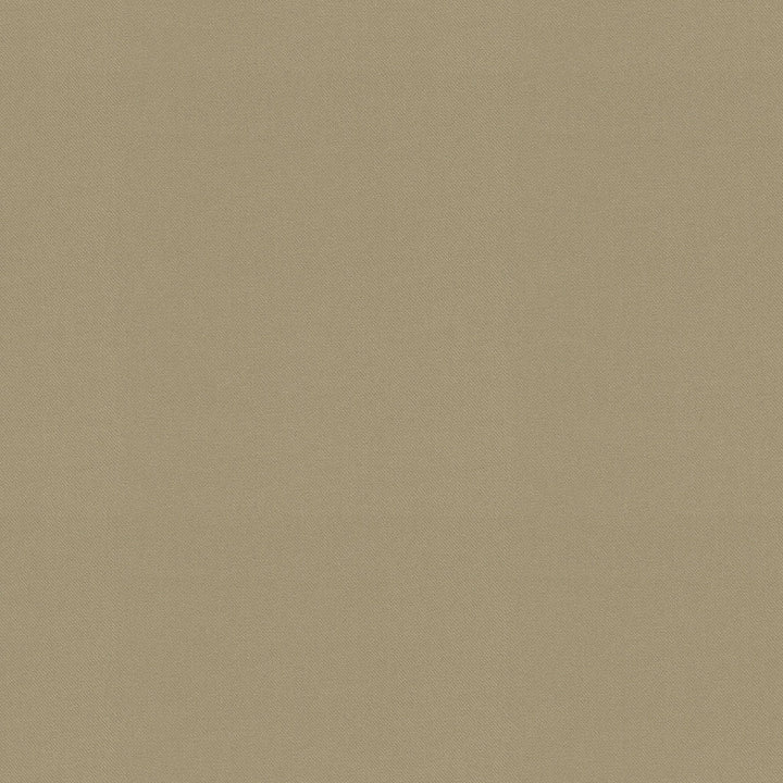Raya Linen 471426 by P/K LIFESTYLES Designer Fabric - 100% recycled polyester India 51000 Horizontal: 0 and Vertical: 0 56  - Swanky Fabrics -