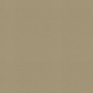 Raya Linen 471426 By P/K Lifestyles Fabric