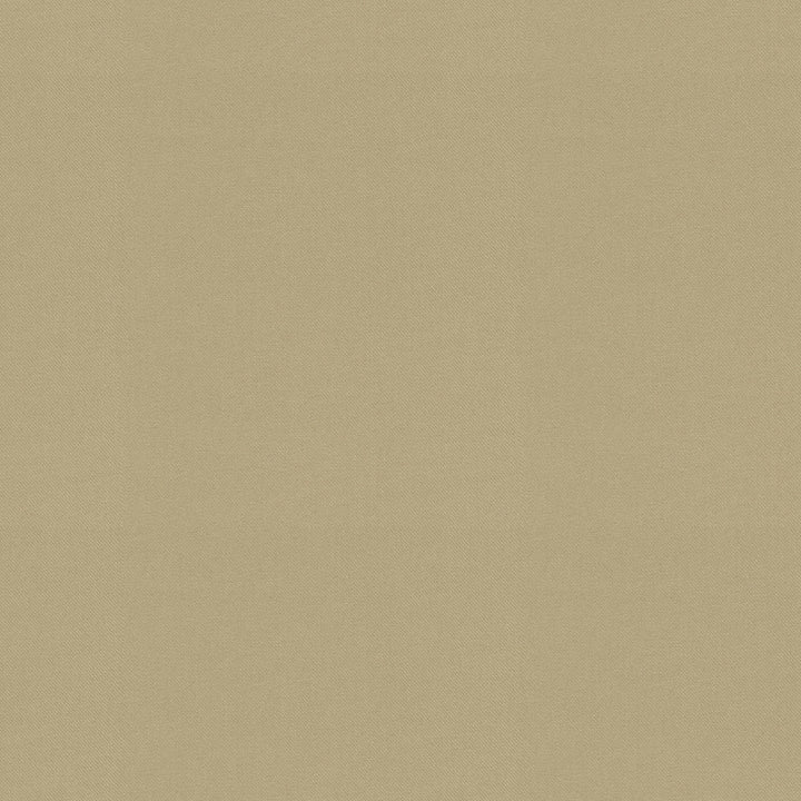 Raya Sesame 471427 by P/K LIFESTYLES Fabric - 100% recycled polyester India 51000 Horizontal: 0 and Vertical: 0 56 - Fabric Carolina -