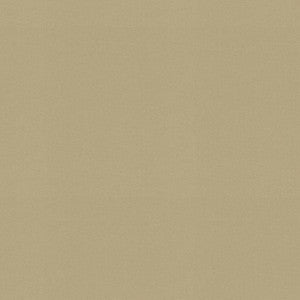 Raya Sesame 471427 By P/K Lifestyles Fabric