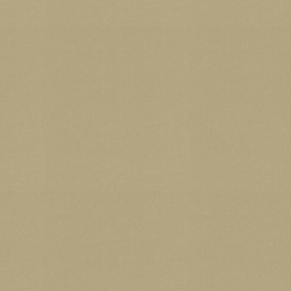 Raya Sesame 471427 by P/K LIFESTYLES Designer Fabric - 100% recycled polyester India 51000 Horizontal: 0 and Vertical: 0 56  - Swanky Fabrics -
