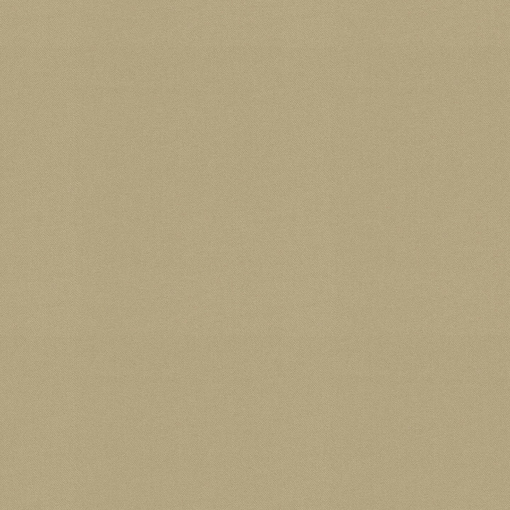 Raya Sesame 471427 by P/K LIFESTYLES Designer Fabric - 100% recycled polyester India 51000 Horizontal: 0 and Vertical: 0 56  - Swanky Fabrics -