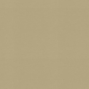 Raya Sesame 471427 By P/K Lifestyles Fabric