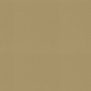 Raya Toast 471428 By P/K Lifestyles Fabric