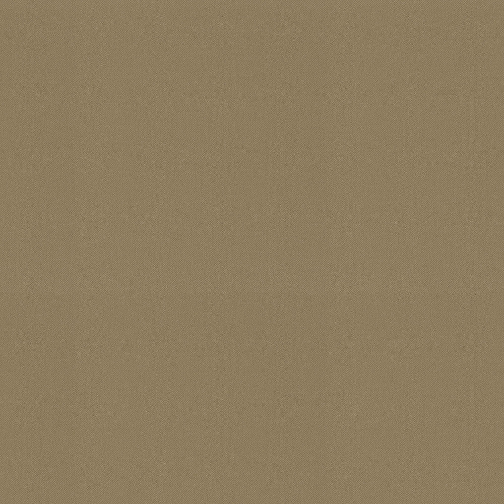 Raya Ginger 471429 by P/K LIFESTYLES Fabric - 100% recycled polyester India 51000 Horizontal: 0 and Vertical: 0 56 - Fabric Carolina -
