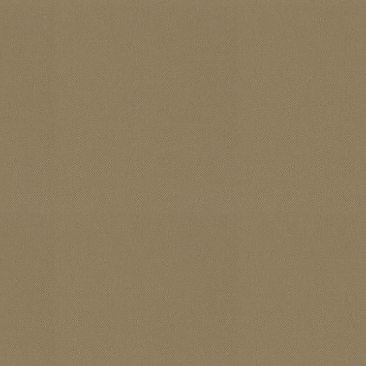 Raya Ginger 471429 by P/K LIFESTYLES Fabric - 100% recycled polyester India 51000 Horizontal: 0 and Vertical: 0 56 - Fabric Carolina -