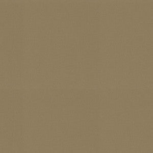 Raya Ginger 471429 By P/K Lifestyles Fabric