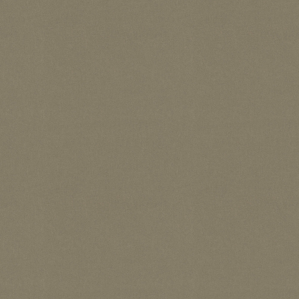 Raya Taupe 471431 by P/K LIFESTYLES Fabric - 100% recycled polyester India 51000 Horizontal: 0 and Vertical: 0 56 - Fabric Carolina -