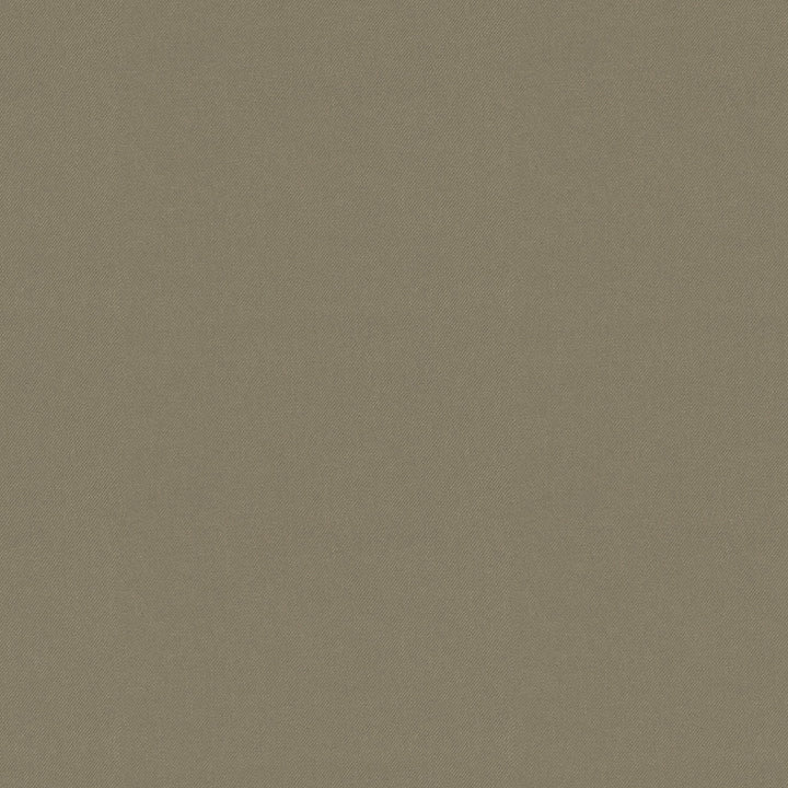 Raya Taupe 471431 by P/K LIFESTYLES Fabric - 100% recycled polyester India 51000 Horizontal: 0 and Vertical: 0 56 - Fabric Carolina -