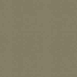 Raya Taupe 471431 By P/K Lifestyles Fabric