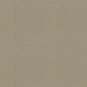 Raya Elephant 471432 By P/K Lifestyles Fabric