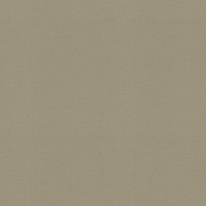 Raya Elephant 471432 By P/K Lifestyles Fabric