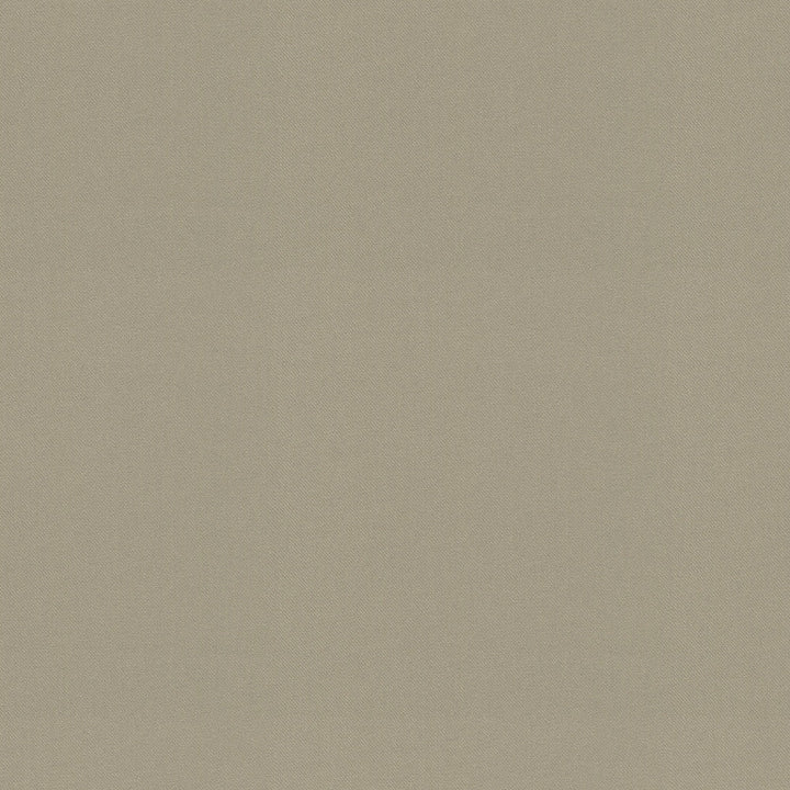 Raya Pebble 471433 by P/K LIFESTYLES Designer Fabric - 100% recycled polyester India 51000 Horizontal: 0 and Vertical: 0 56  - Swanky Fabrics -