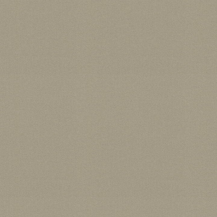 Raya Pebble 471433 by P/K LIFESTYLES Fabric - 100% recycled polyester India 51000 Horizontal: 0 and Vertical: 0 56 - Fabric Carolina -