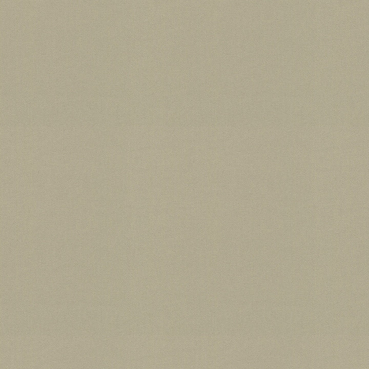 Raya Oyster 471434 by P/K LIFESTYLES Fabric - 100% recycled polyester India 51000 Horizontal: 0 and Vertical: 0 56 - Fabric Carolina -