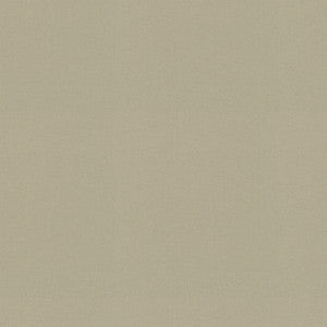 Raya Oyster 471434 By P/K Lifestyles Fabric